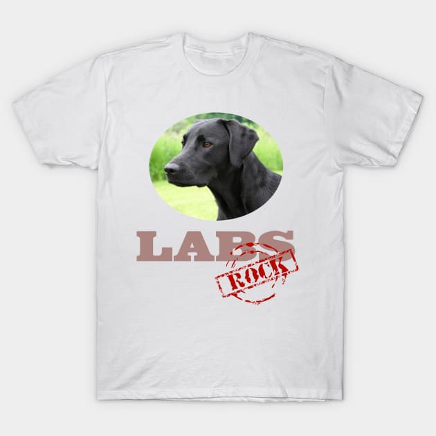 Black Labs Rock! T-Shirt by Naves